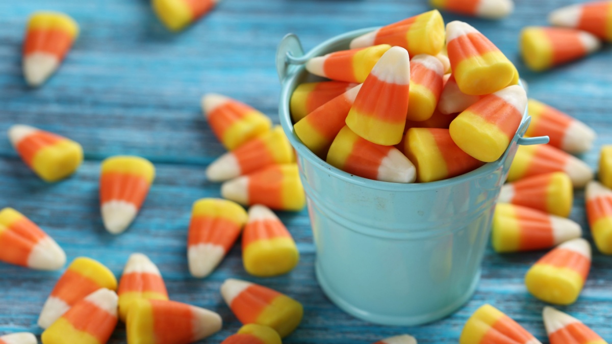 Halloween candy corns in bucket on blue wooden background