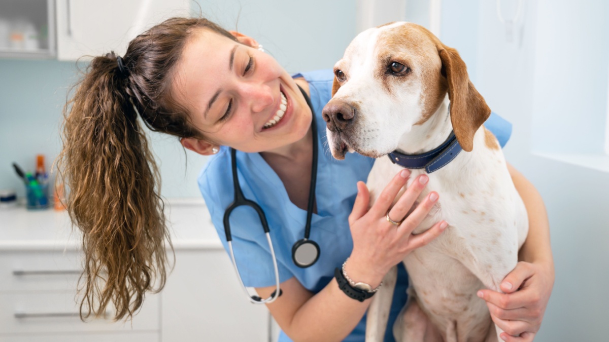 Young happy veterinary nurse smiling while playing with a dog.
